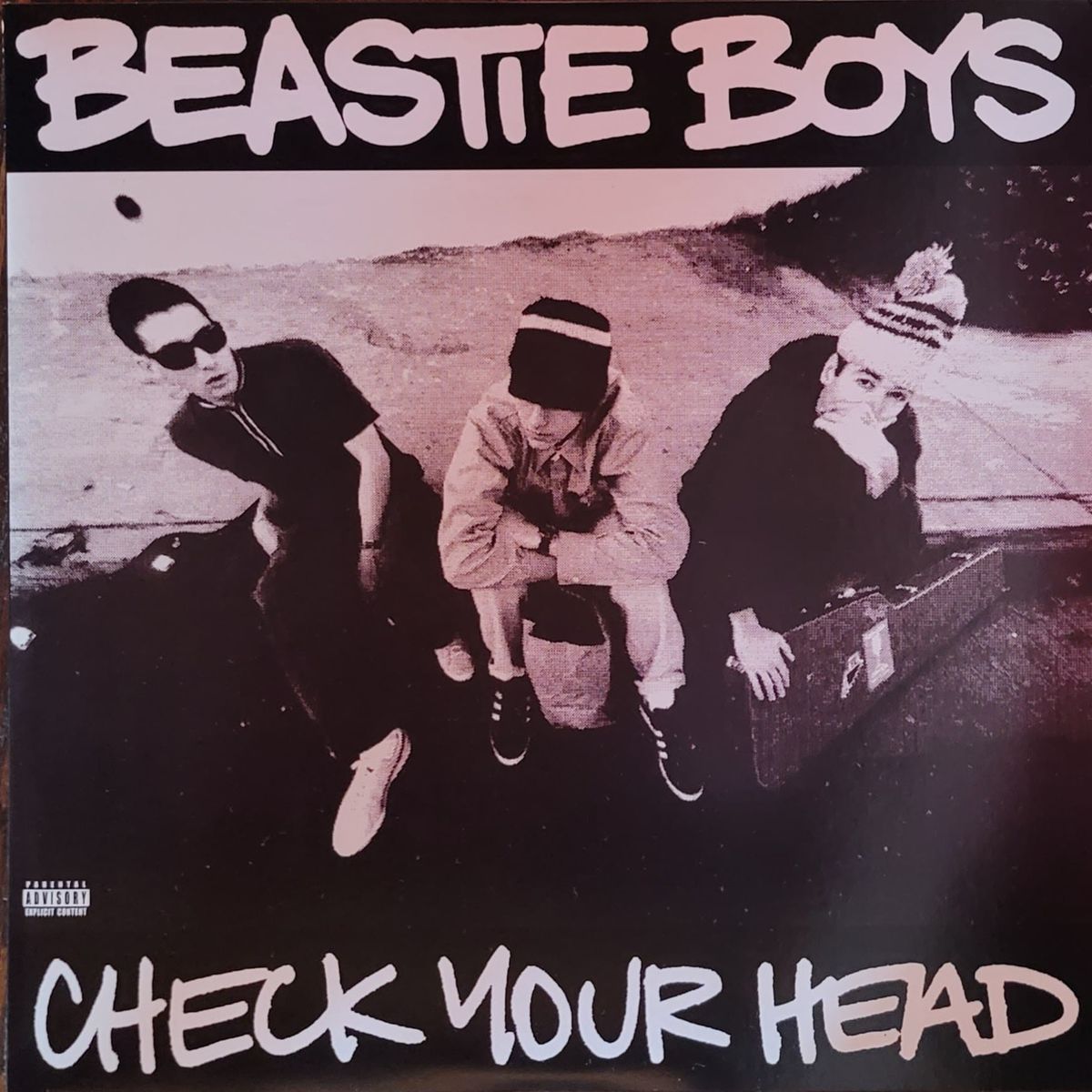 Beastie Boys — Check Your Head — 2009