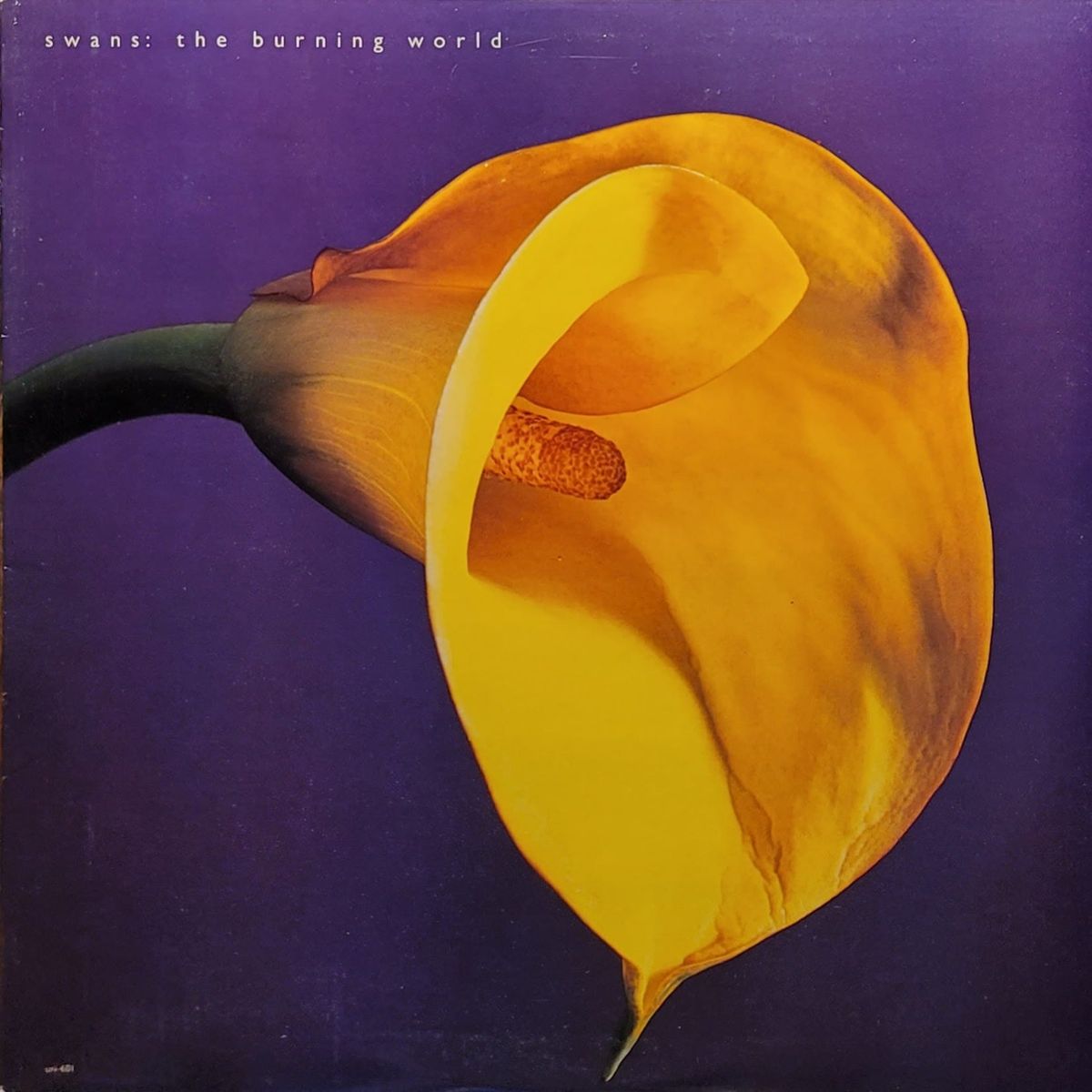 Swans — The Burning World — Original