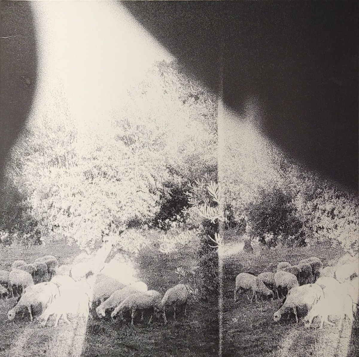 Godspeed You! Black Emperor - Asunder, Sweet And Other Distress - Original