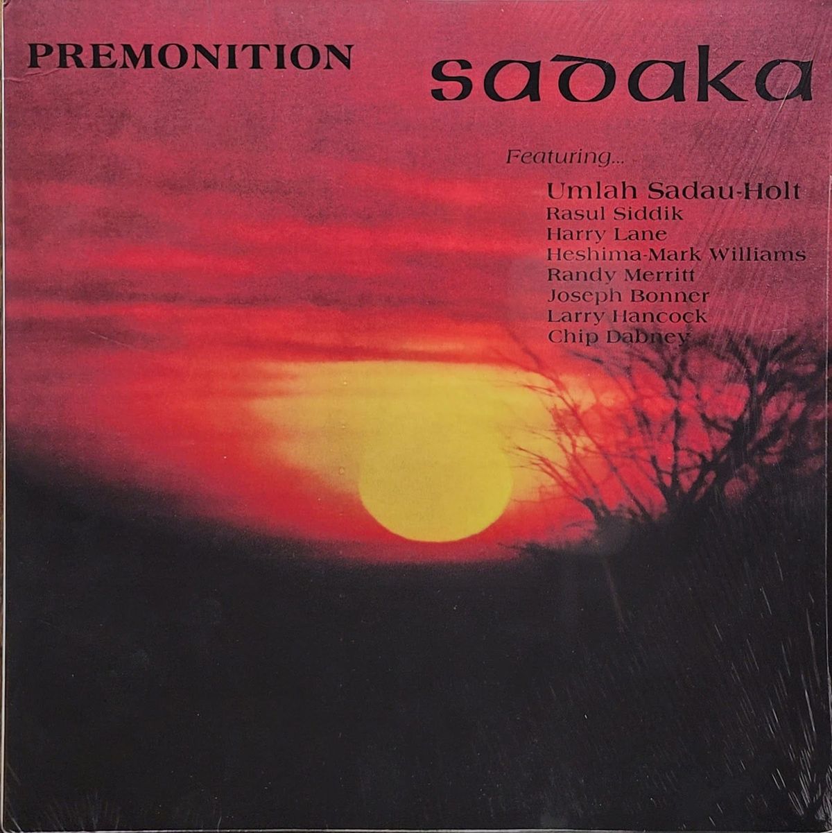 Sadaka Featuring Umlah Sadau-Holt, Rasul Siddik, Harry Lane, Heshima-Mark Williams, Randy Merritt, Joseph Bonner, Larry Hancock, Chip Dabney - Premonition - 2015