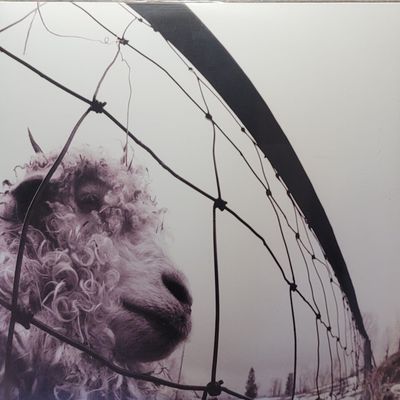 Pearl Jam — Vs. — 45RPM