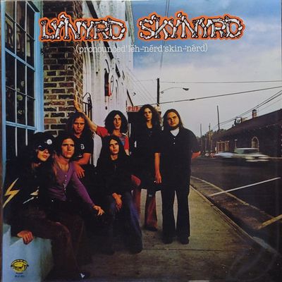 Lynyrd Skynyrd — (pronounced'lĕh-'nérd'skin-'nérd) — Analogue Productions
