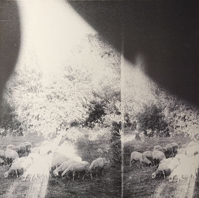 Godspeed You! Black Emperor - Asunder, Sweet And Other Distress - Original