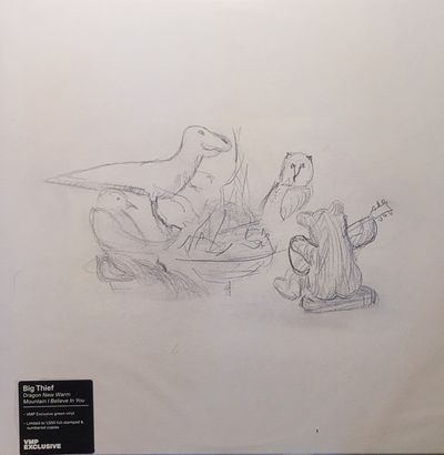 Big Thief - Dragon New Warm Mountain I Believe In You - VMP