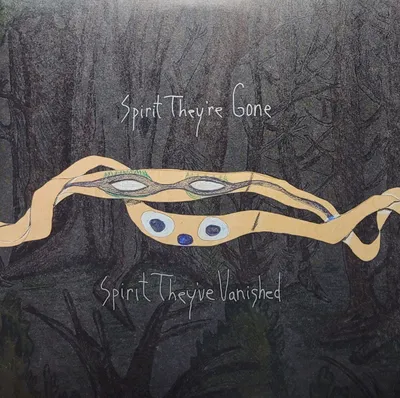 Animal Collective - Spirit They're Gone Spirit They've Vanished - 2023