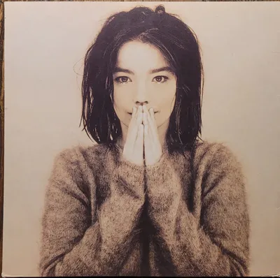 Björk - Debut - 2004
