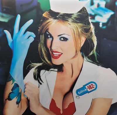 Blink-182 - Enema Of The State - 2010