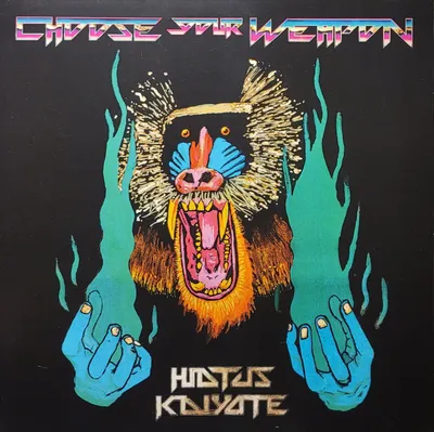 Hiatus Kaiyote - Choose Your Weapon - 2022