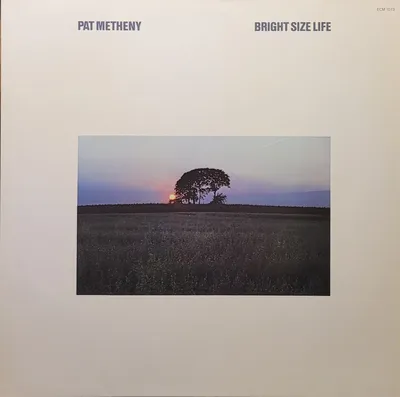 Pat Metheny - Bright Size Life - Germany