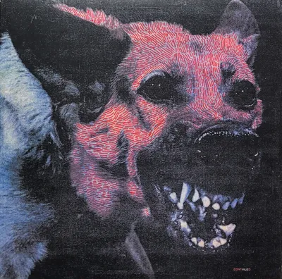 Protomartyr - Under Color Of Official Right - Original