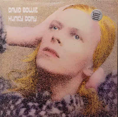 David Bowie - Hunky Dory - Simply Vinyl