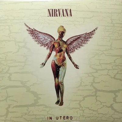 Nirvana - In Utero - 20th Anniversary