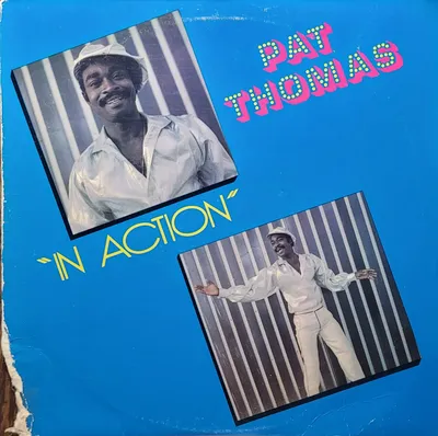 Pat Thomas - In Action - Original