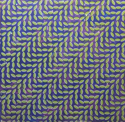 Animal Collective - Merriweather Post Pavilion - Deluxe
