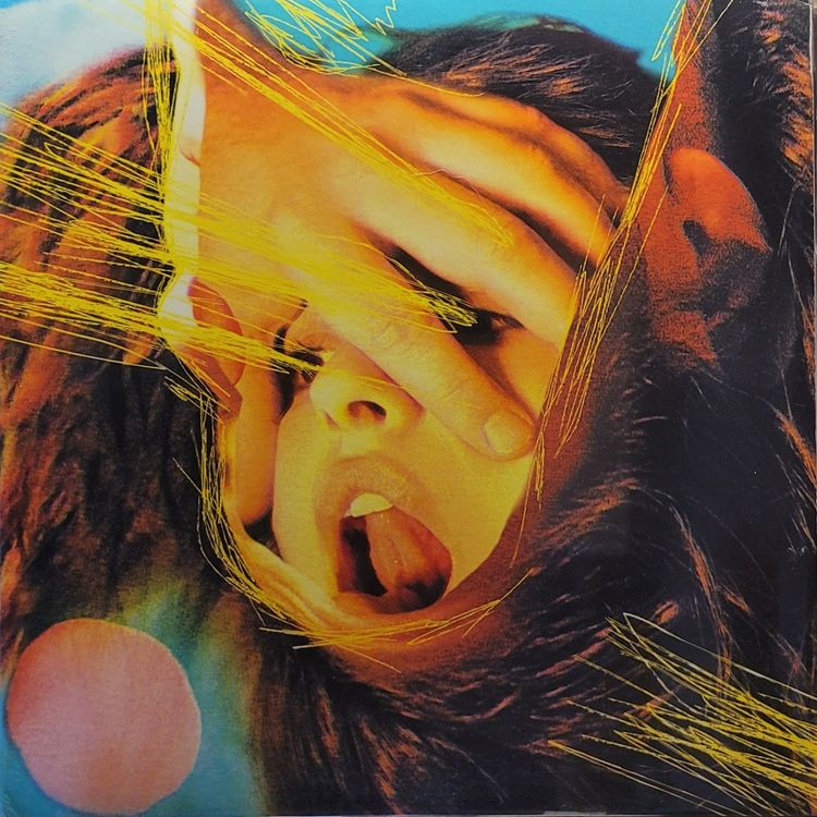 The Flaming Lips — Embryonic — Original