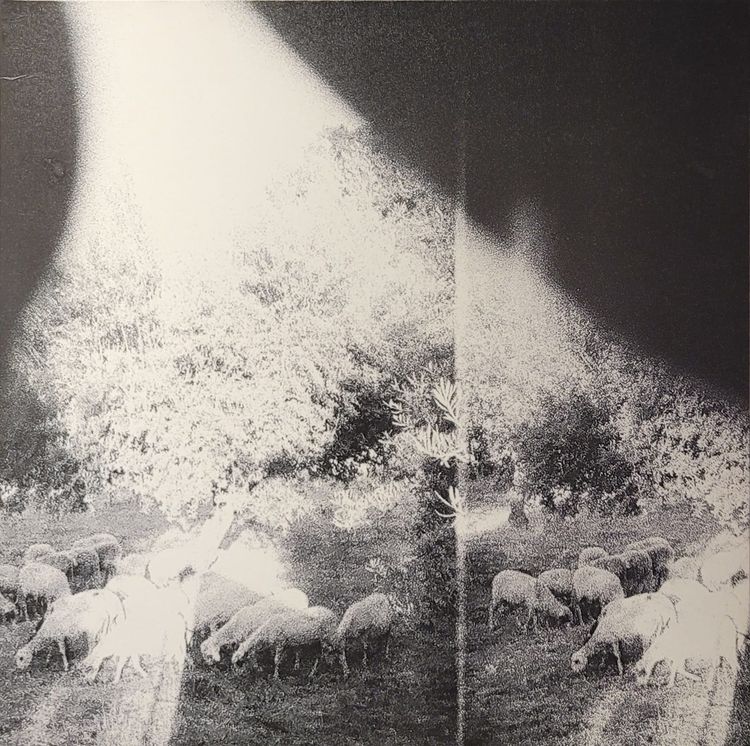 Godspeed You! Black Emperor - Asunder, Sweet And Other Distress - Original