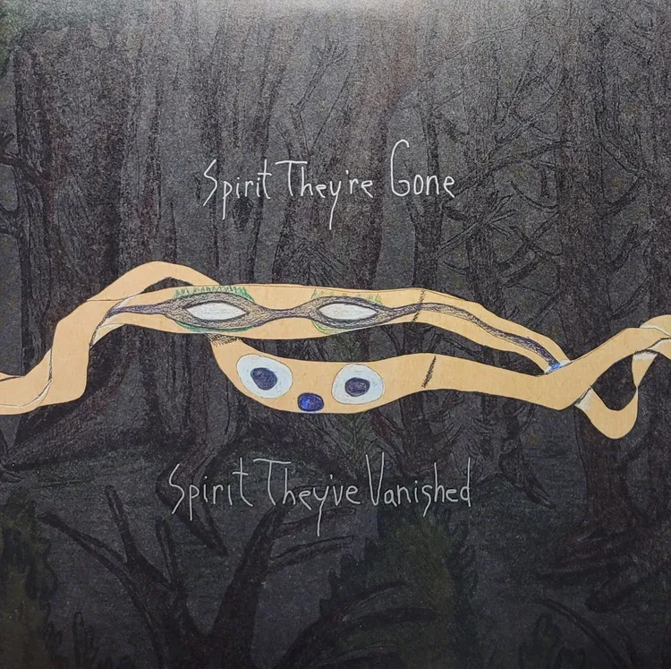 Animal Collective - Spirit They're Gone Spirit They've Vanished - 2023