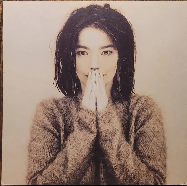 Björk - Debut - 2004