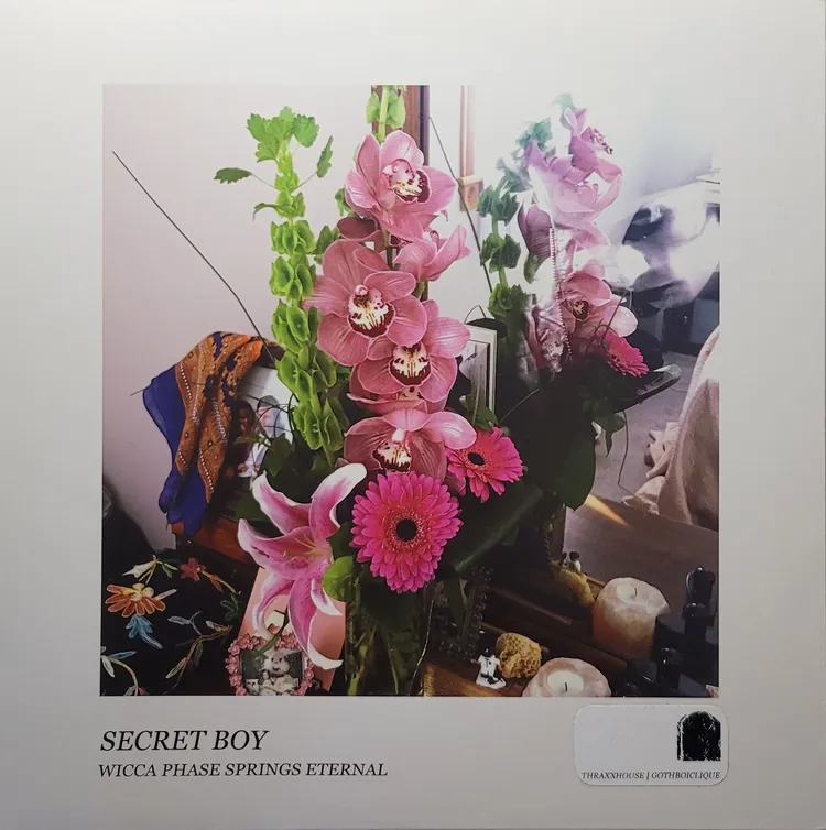 Wicca Phase Springs Eternal - Secret Boy - Original
