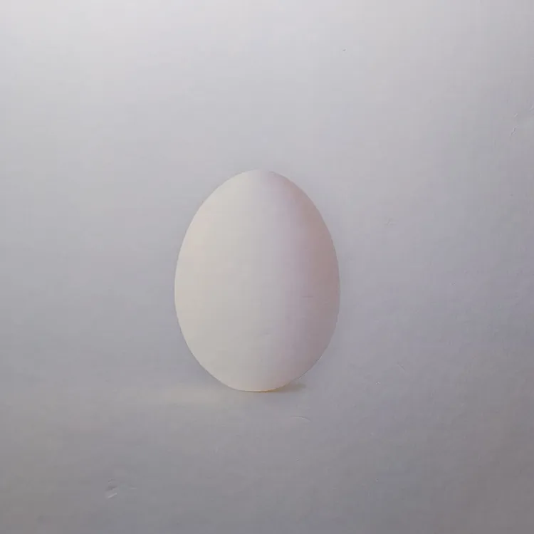 Wilco - A Ghost Is Born - Deluxe Edition