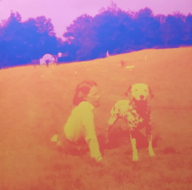 Eels - Blinking Lights And Other Revelations - 2023