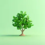 Growth Through Simple Forms and Natural Shapes