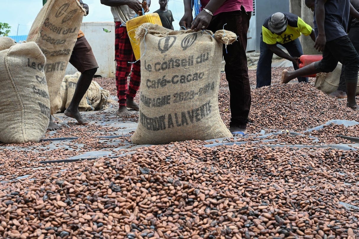 Cacao ivoirien : 100 agents formés à la traçabilité sociale