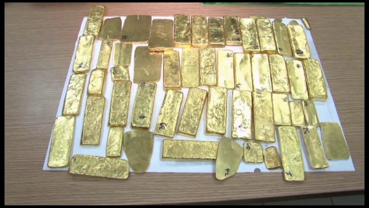 Orpaillage illégal en Côte d'Ivoire : 136 kg d'or et 960 millions de FCFA saisis