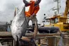 Repos biologique en Côte d'Ivoire : la pêche interdite par décret en mer, en lagune et sur les lacs