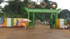 Zoo d’Abidjan rénové: c’est plus de 1 000 visiteurs par jour, des tickets d’entrée de 500 à 1 500 FCFA