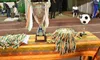 Palmarès : voici les vainqueurs de la coupe nationale de Côte d’Ivoire