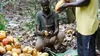 Le Ghana et la Côte d’Ivoire décident de reprendre la vente du Cacao
