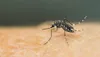 Côte d’Ivoire : la dengue frappe tous les départements du Tonkpi