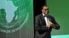 Affaire Akinwumi Adesina à la BAD : le Nigéria lance une contre-offensive