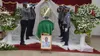 Côte d’Ivoire: le gendarme tué par des « Gnambros » à Yopougon inhumé