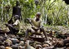 Travail des enfants dans la cacaoculture : la Côte d’Ivoire citée dans un autre rapport américain