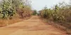 Levée des barrages sur l’axe Sakassou-Bouaké