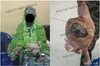 Yopougon : elle tente de faire rentrer de la drogue enfouie dans le derrière d’un poulet à la MACA