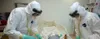 Au Togo, 8 mesures contre le coronavirus