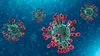Coronavirus : un premier cas du Covid-19 au Bénin