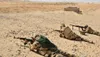 Intervention de l’armée turques : rejet de l’Egypte dans les pays arabes