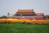 Xi Jinping présidera un sommet extraordinaire Chine-Afrique sur la solidarité contre le COVID-19 – Actualités 16/06/2020