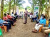 FCIAD biopesticides banane : le projet pour les producteurs de banane voit le jour