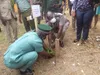 Les populations de l’Agneby-Tiassa invitées à contribuer à la reconstitution du couvert forestier – Actualité ivoirienne 25/07/2020