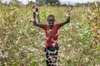 FAO : lutte contre les criquets pèlerins en Somalie