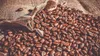 Production du café de Côte d'Ivoire