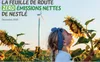 Nestlé Côte d’Ivoire : objectif zéro émission de gaz à effet de serre d’ici 2050