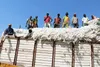 Filière coton : INTERCOTON négocie un accord avec ses familles professionnelles