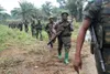 Attaque en RDC : au moins 29 morts en Ituri