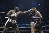 Boxe: Tony Yoka battu